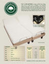 7" latexpedic mattresses