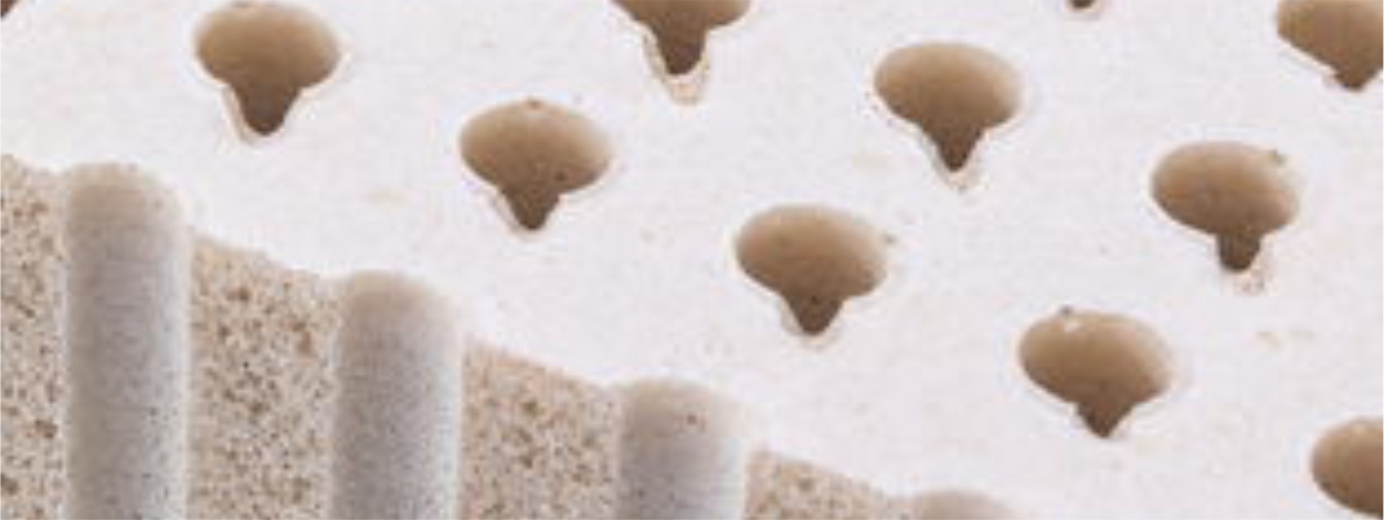 Phoenix Electropedid organic latex mattress